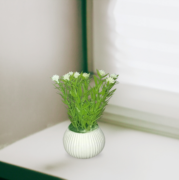 Green Plant with Small White Flowers in a Ribbed Ceramic Vase for Home or Shelf Decor